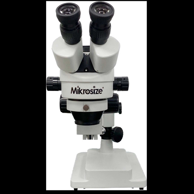 iStereo-165D立体显微镜