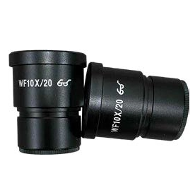 iStereo-165D立体显微镜