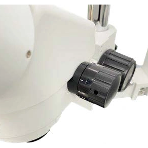 iStereo-165D立体显微镜